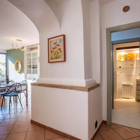 Mimosa * Casole dʼElsa